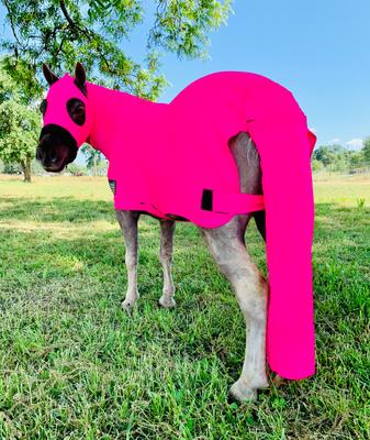 Show full view: Star Point Horsemanship Mini-Pony Lycra Body Suits, Hot Pink, Small: 28 to 32-in Mini slide 2 of 2