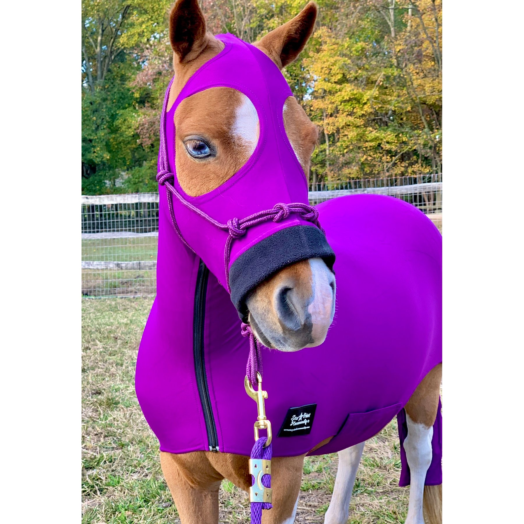 Star Point Horsemanship Mini-Pony Lycra Body Suits, Purple, Large: 37 to 40-in Pony