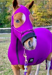Star Point Horsemanship Mini-Pony Lycra Body Suits, Purple, Medium: 32 to 36-in Mini