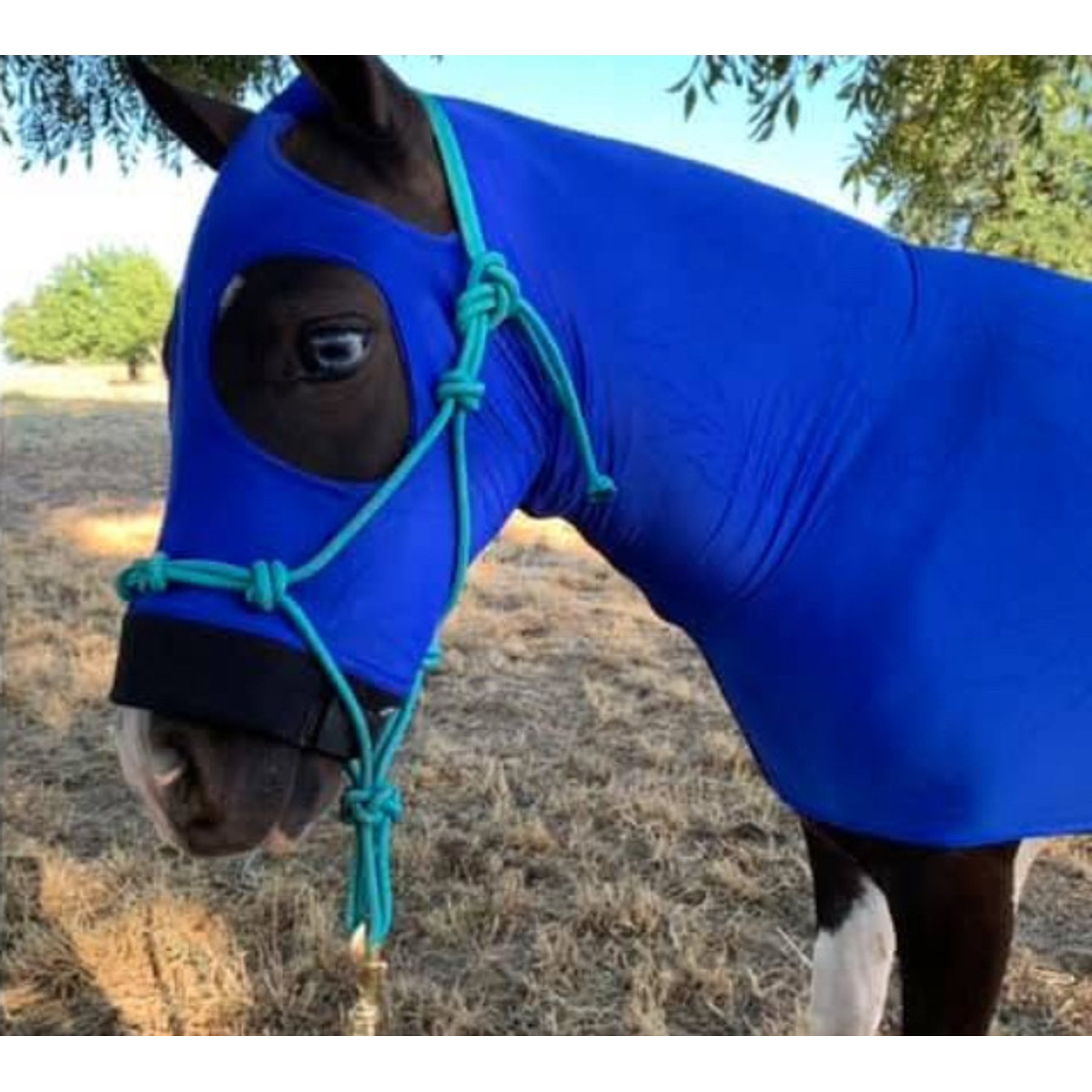 Star Point Horsemanship Mini-Pony Lycra Body Suits, Royal, Small: 28 to 32-in Mini