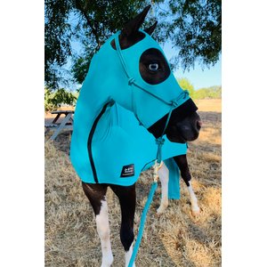 Star Point Horsemanship Mini-Pony Lycra Body Suits, Teal, Large: 37 to 40-in Pony