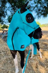 Star Point Horsemanship Mini-Pony Lycra Body Suits, Teal, Medium: 32 to 36-in Mini