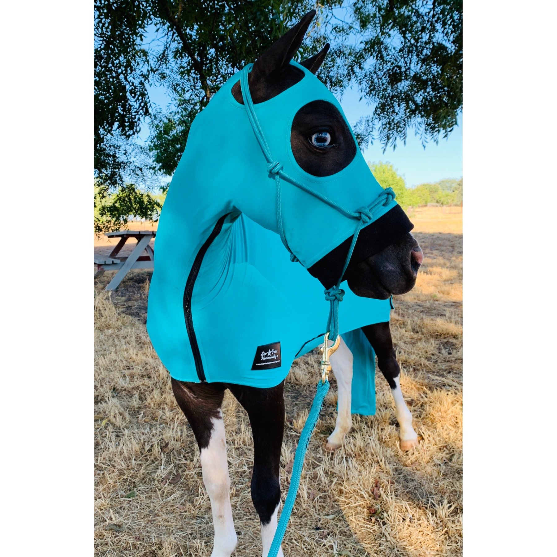 Star Point Horsemanship Mini-Pony Lycra Body Suits, Teal, Medium: 32 to 36-in Mini
