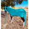 Show in main carousel: Star Point Horsemanship Mini-Pony Lycra Body Suits, Teal, Small: 28 to 32-in Mini slide 2 of 2