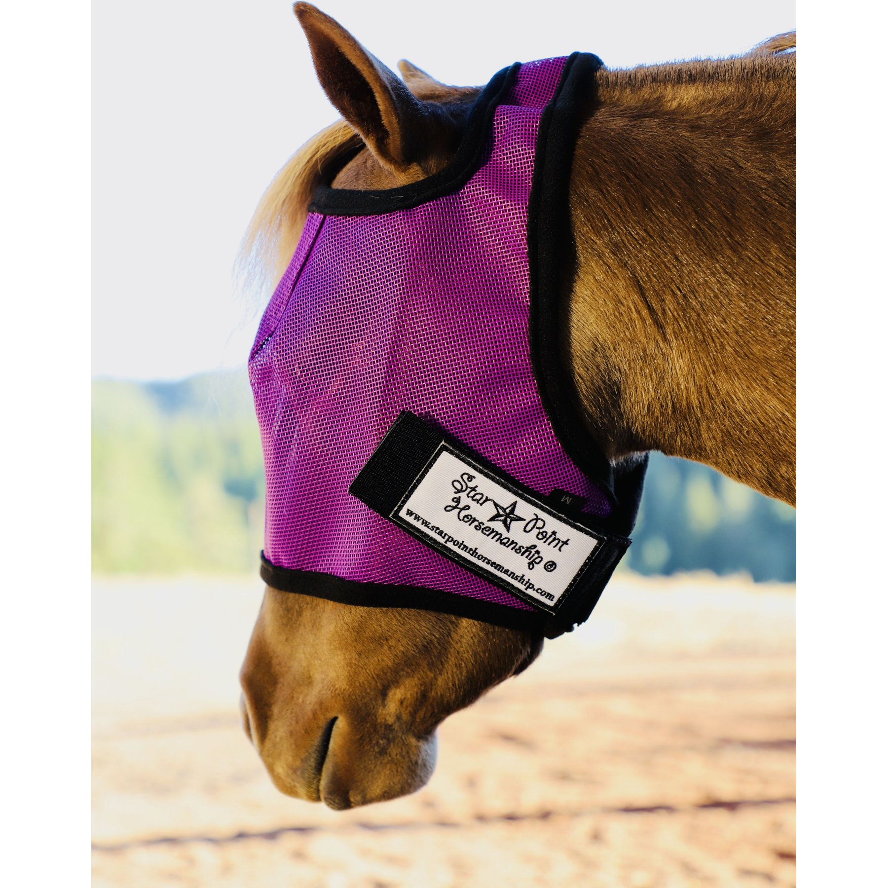 Star Point Horsemanship Mini-Pony No Ear Fly Mask, Purple, X-Small