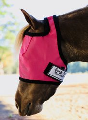 Star Point Horsemanship Mini-Pony No Ear Fly Mask, Raspberry, Small/Mini