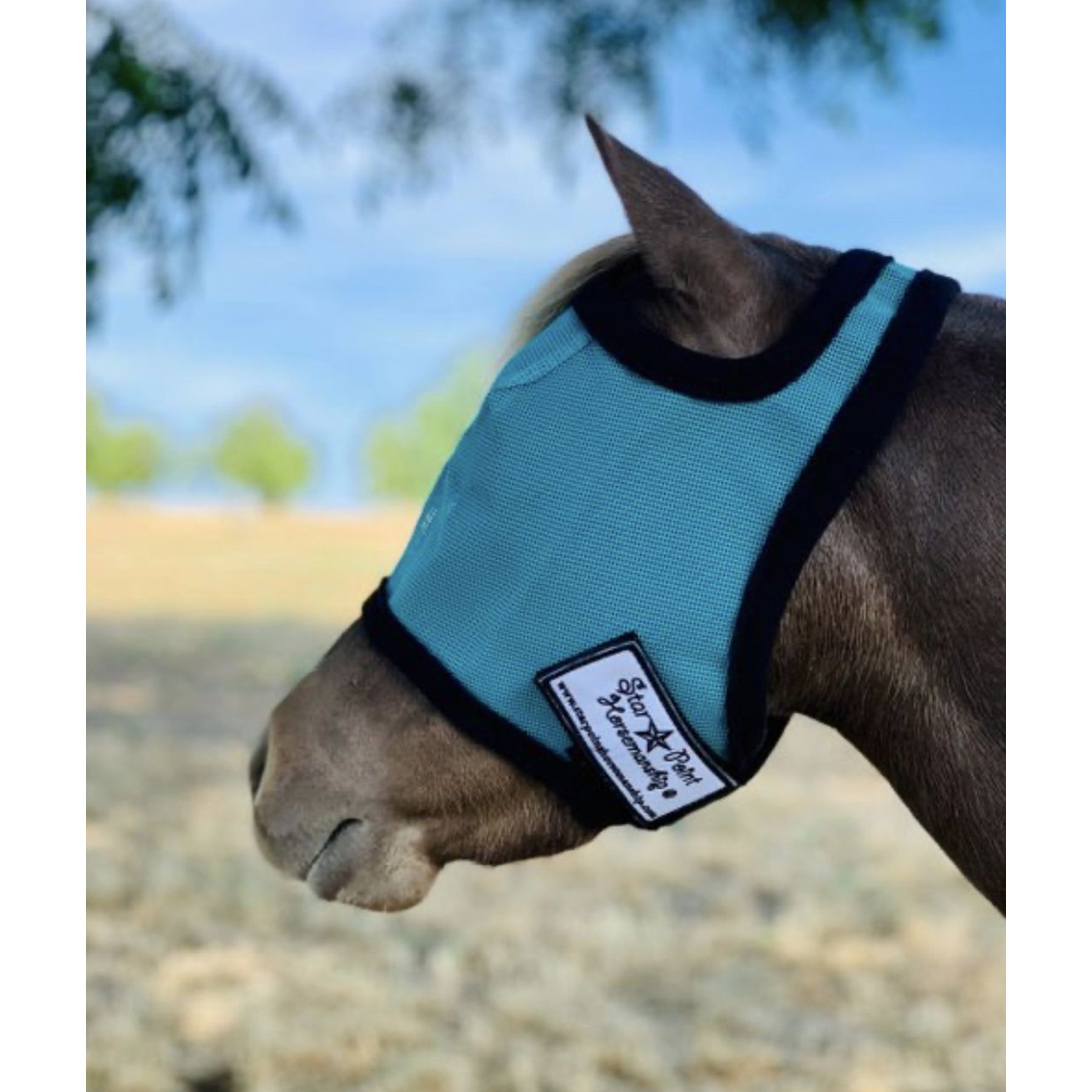 Star Point Horsemanship Mini-Pony No Ear Fly Mask, Teal, Large
