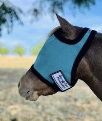 Star Point Horsemanship Mini-Pony No Ear Fly Mask, Teal, Small/Mini