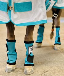 Star Point Horsemanship Miniature Horse Fly Leggings, Teal