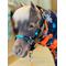 Show in main carousel: Star Point Horsemanship Miniature Horse Leather Combo Knotless Training Halter, Teal, Large: 34 to 40-in slide 1 of 2
