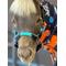 Show in main carousel: Star Point Horsemanship Miniature Horse Leather Combo Knotless Training Halter, Teal, Large: 34 to 40-in slide 2 of 2
