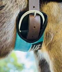 Star Point Horsemanship Miniature Horse Neoprene Cinch Girth, Teal Sparkle, 16-in slide 2 of 2