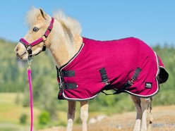 Star Point Horsemanship Miniature Horse-Pony Fleece Cooler/Blanket Liner, Dark Raspberry, 38 to 40-in