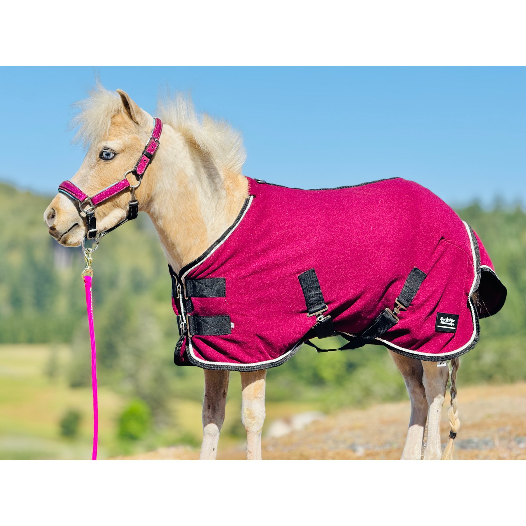 Star Point Horsemanship Miniature Horse-Pony Fleece Cooler/Blanket Liner, Dark Raspberry, 40 to 42-in