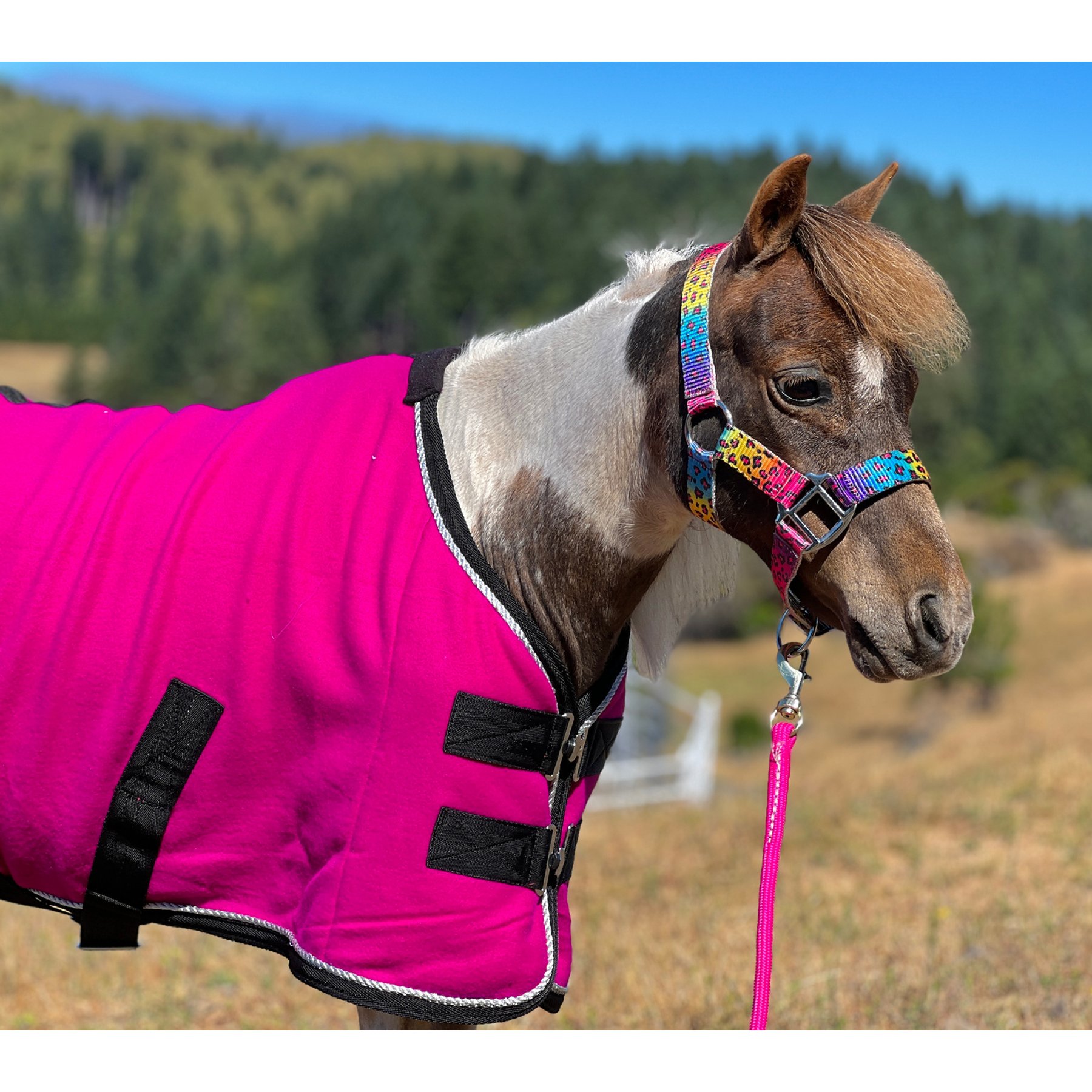 Star Point Horsemanship Miniature Horse-Pony Fleece Cooler/Blanket Liner, Raspberry, 52 to 54-in