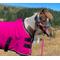 Show in main carousel: Star Point Horsemanship Miniature Horse-Pony Fleece Cooler/Blanket Liner, Raspberry, 38 to 40-in slide 2 of 2