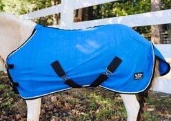 Star Point Horsemanship Miniature Horse-Pony Fleece Cooler/Blanket Liner, Royal Blue, 50 to 52-in