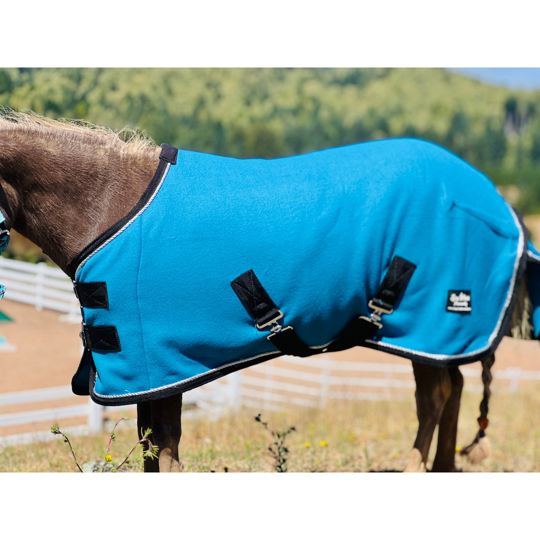 Star Point Horsemanship Miniature Horse-Pony Fleece Cooler/Blanket Liner, Teal, 38 to 40-in