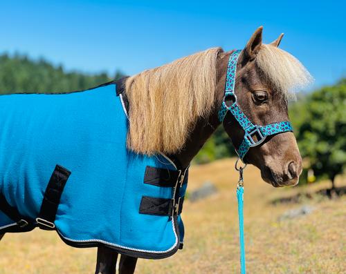 Show full view: Star Point Horsemanship Miniature Horse-Pony Fleece Cooler/Blanket Liner, Teal, 38 to 40-in slide 2 of 2
