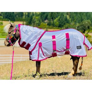 Star Point Horsemanship Miniature Horse-Pony Hooded Bellyband UV Fly Sheet, Raspberry, 40 to 42-in
