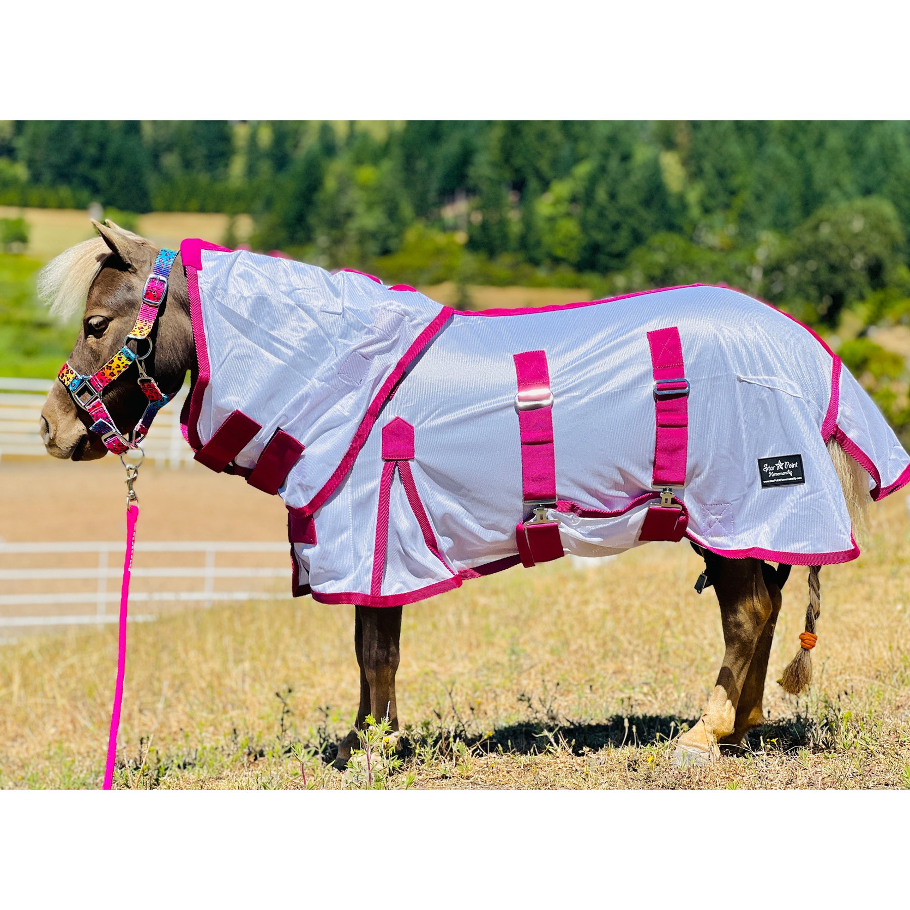 Star Point Horsemanship Miniature Horse-Pony Hooded Bellyband UV Fly Sheet, Raspberry, 63 to 65-in