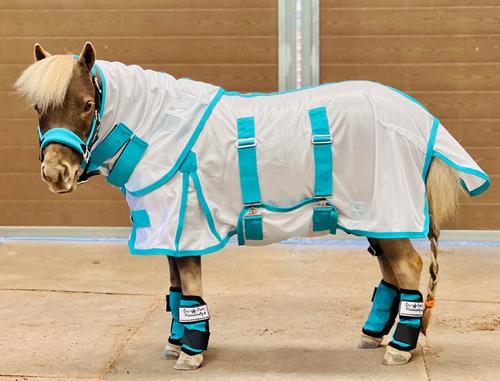 Show full view: Star Point Horsemanship Miniature Horse-Pony Hooded Bellyband UV Fly Sheet, Teal, 38 to 40-in slide 1 of 4