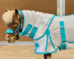Star Point Horsemanship Miniature Horse-Pony Hooded Bellyband UV Fly Sheet, Teal, 38 to 40-in slide 2 of 3