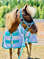 Star Point Horsemanship Miniature Horse-Pony Hooded Bellyband UV Fly Sheet, Teal, 44 to 46-in slide 2 of 3