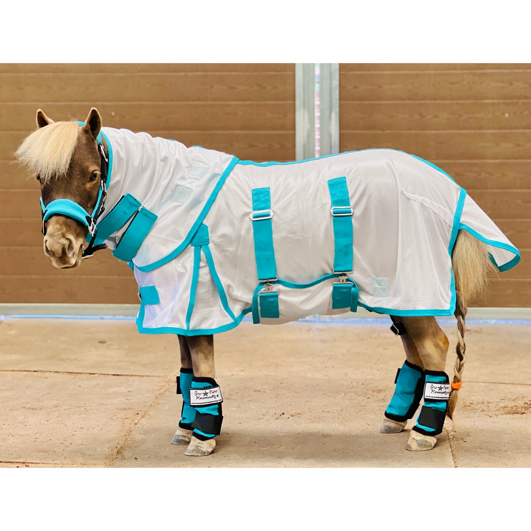 Star Point Horsemanship Miniature Horse-Pony Hooded Bellyband UV Fly Sheet, Teal, 50 to 52-in
