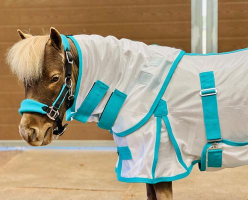 Show full view: Star Point Horsemanship Miniature Horse-Pony Hooded Bellyband UV Fly Sheet, Teal, 52 to 54-in slide 2 of 4