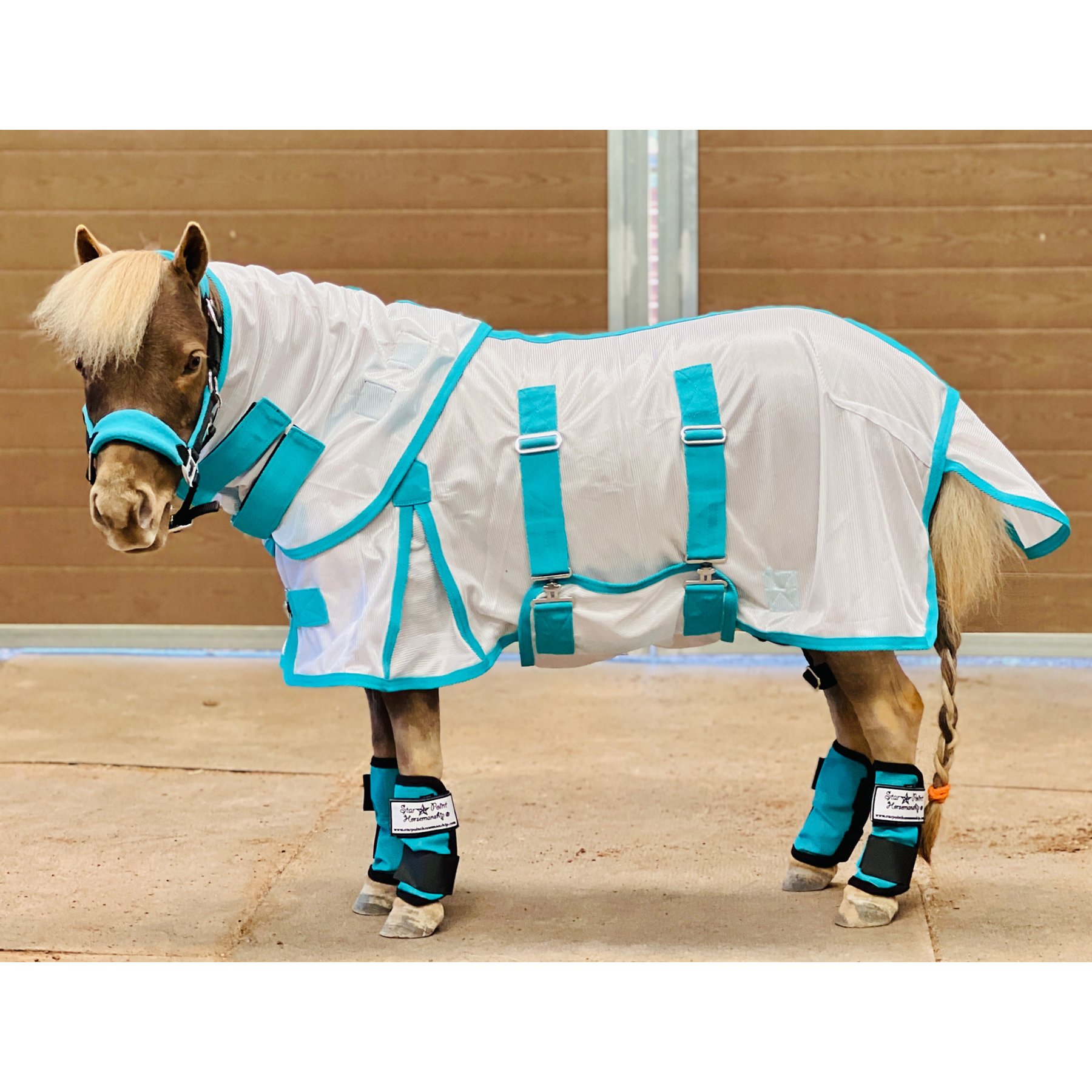Star Point Horsemanship Miniature Horse-Pony Hooded Bellyband UV Fly Sheet, Teal, 60 to 62-in