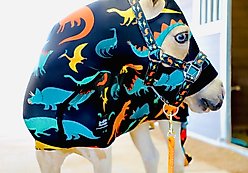 Star Point Horsemanship Miniature Horse-Pony Lycra Printed Body Suits, Dinosaur, Large: 37 to 40-in
