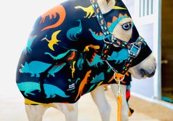 Star Point Horsemanship Miniature Horse-Pony Lycra Printed Body Suits, Dinosaur, Medium: 32 to 36-in