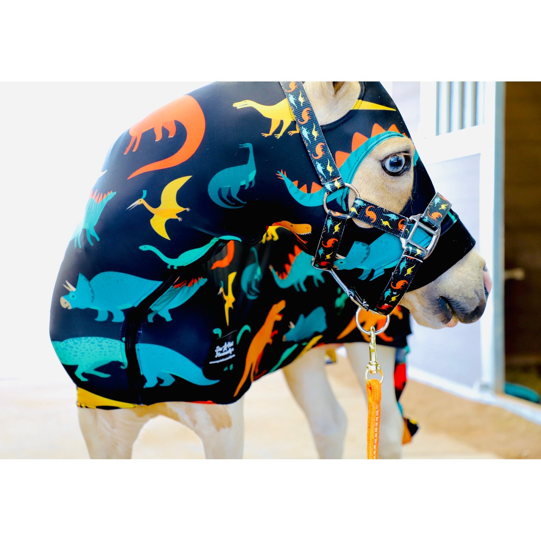 Star Point Horsemanship Miniature Horse-Pony Lycra Printed Body Suits, Dinosaur, Medium: 32 to 36-in