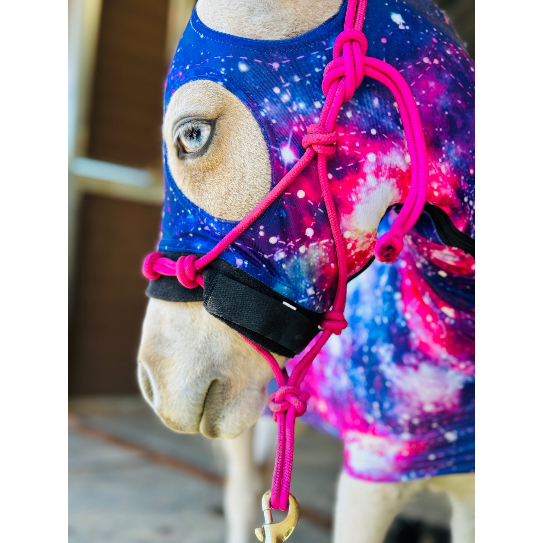 Star Point Horsemanship Miniature Horse-Pony Lycra Printed Body Suits, Galaxy, Medium: 32 to 36-in