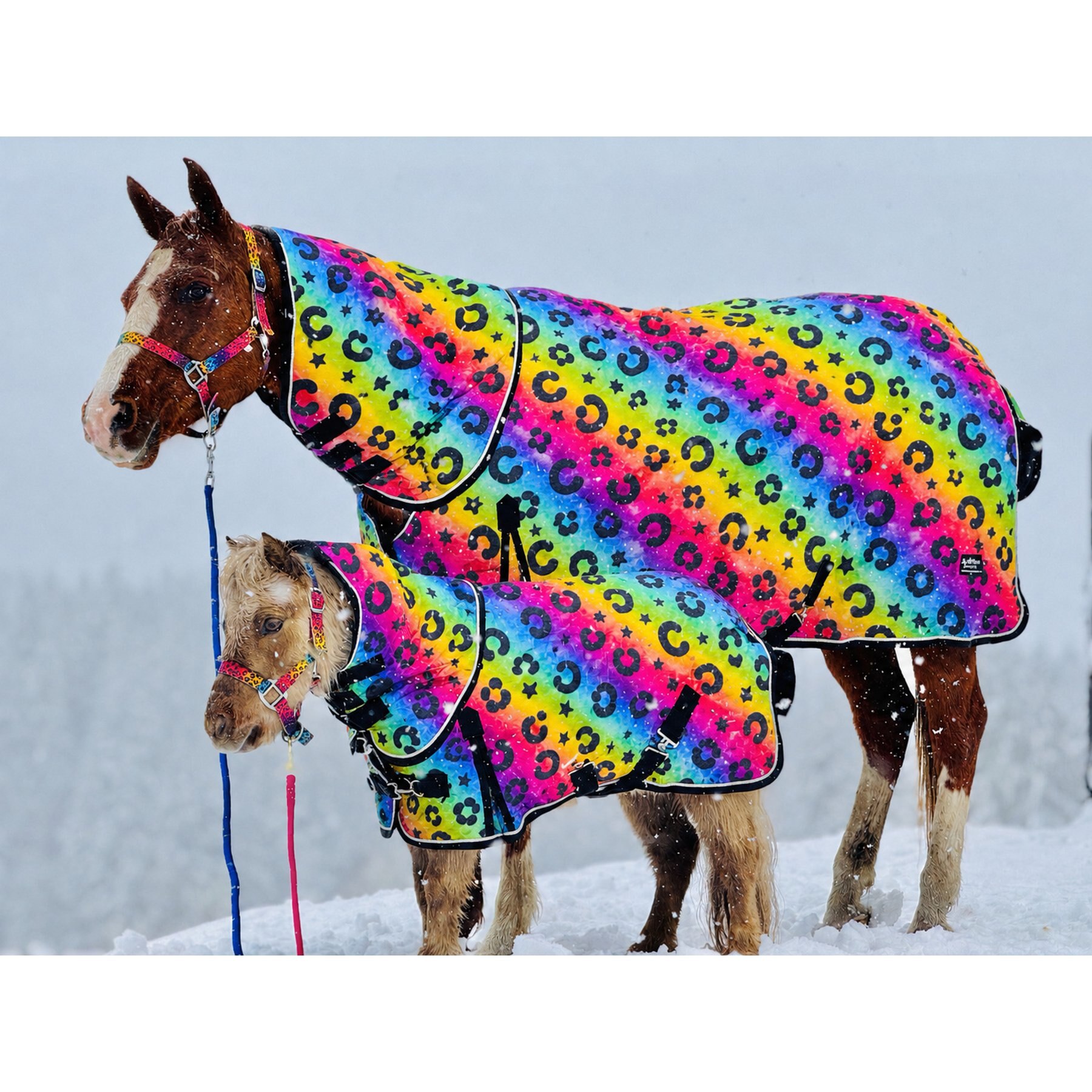 Star Point Horsemanship Rainbow Cheetah 220 G Hooded Horse Blanket, Rainbow Cheetah, 68 to 70-in