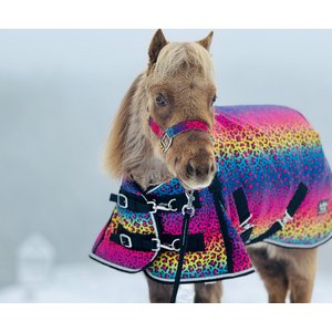 Star Point Horsemanship Rainbow Cheetah 220 G Hooded Horse Blanket