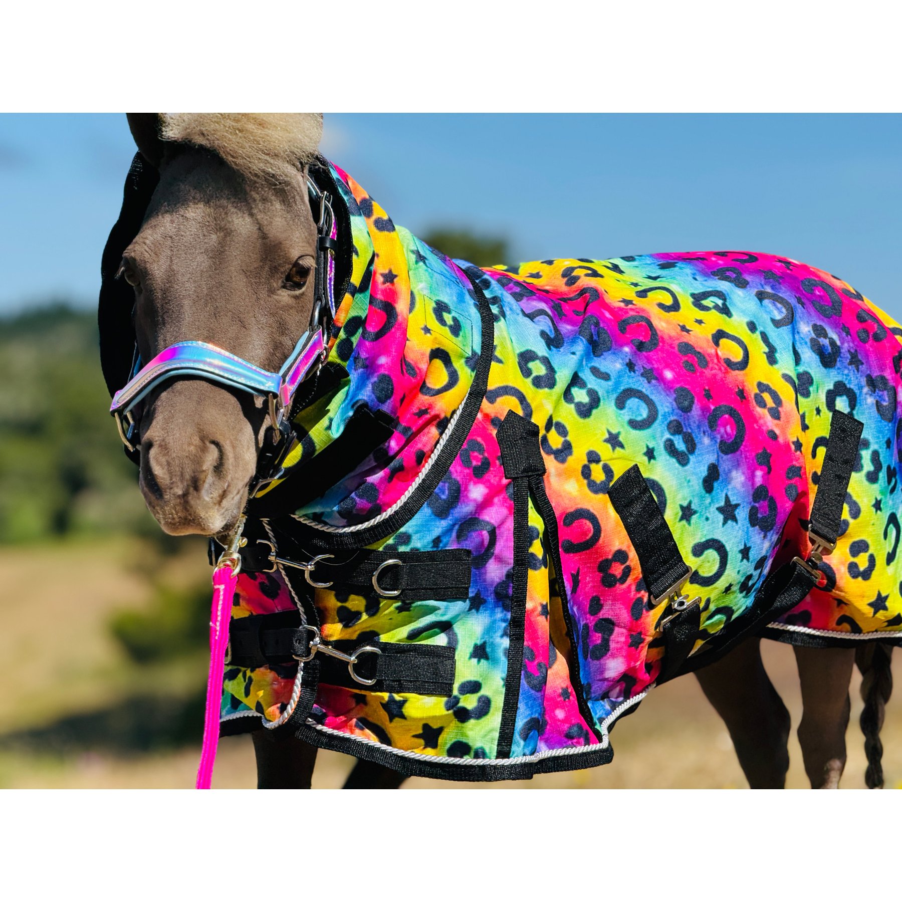 Star Point Horsemanship Rainbow Cheetah Hooded Horse Sheet, Rainbow Cheetah, 46 to 48-in