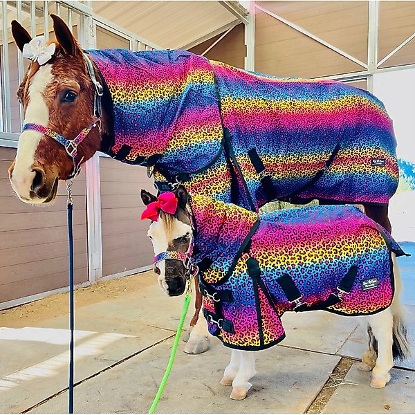 Star Point Horsemanship Hooded Fleece Horse Cooler Combo