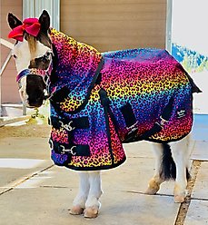 Star Point Horsemanship Rainbow Cheetah Hooded Horse Sheet, Rainbow Cheetah, 74 to 76-in slide 2 of 2