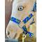 Show in main carousel: Star Point Horsemanship Star Point Printed Horse Halter, Yellow Trucks, Large: 33 to 40-in slide 1 of 2