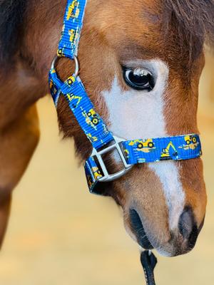 Show full view: Star Point Horsemanship Star Point Printed Horse Halter, Yellow Trucks, Large: 33 to 40-in slide 2 of 2