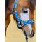 Show in main carousel: Star Point Horsemanship Star Point Printed Horse Halter, Yellow Trucks, Medium: 28 to 32-in slide 2 of 2