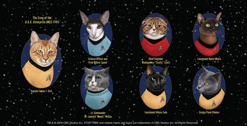 Show full view: Star Trek Cats slide 5 of 9
