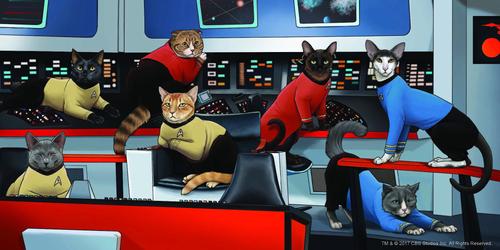 Show full view: Star Trek Cats slide 6 of 9