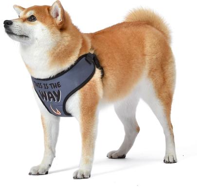 Show full view: Star Wars by Fetch for Cool Pets Mandalorian The Child Dog Harness, Black, Medium slide 4 of 6