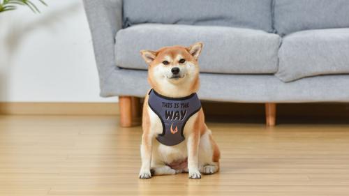 Show full view: Star Wars by Fetch for Cool Pets Mandalorian The Child Dog Harness, Black, Medium slide 5 of 6