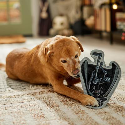 Show full view: STAR WARS Halloween DARTH VADER Stuffing-Free Flat Plush Squeaky Dog Toy, Medium/Large slide 5 of 8