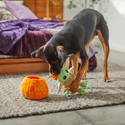 Show full view: STAR WARS Halloween THE MANDALORIAN GROGU in a Pumpkin 2-in-1 Plush Squeaky Dog Toy, Medium/Large slide 4 of 7