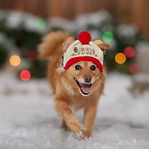 STAR WARS Knit Dog & Cat Hat, X-Large/XX-Large
